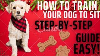 Sit, Good Boy! A Step-by-Step Guide to Teach Your Dog to Sit!