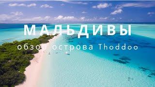 Мальдивы бюджетно, остров Тодду( thoddoo) 2021-2022