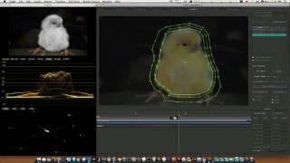 Apple Color 1.5 Tutorial - Advanced Manual Key framing and Rotoscoping in Apple's Color