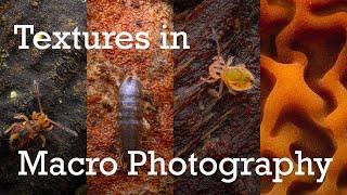 How to use Texture in Macro Photography
