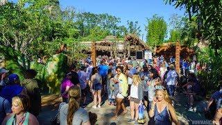 Opening day crowds at Pandora - The World of Avatar