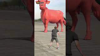 Brown cow statue inside pink cow statue P.1406 #shorts