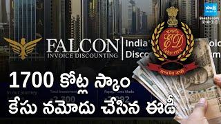 ED Case Filed on Falcon Invoice Discounting Scam Worth 1700 Crore | Amardeep Kumar |@SakshiTV