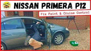 Nissan Primera P12: Fix Stone Chips & Cruise Control (+ Micra K11)