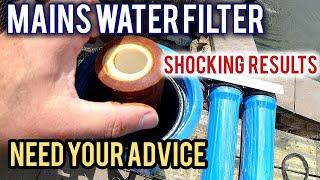 Changing the mains water filter, shocking results #koi #koipond #koifiltration