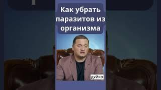 Народные средства от паразитов: какие травы помогают?