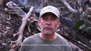 SC Johnson & Conservation International: Illegal Deforestation