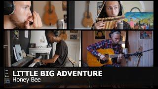 Little Big Adventure 2 - Honey Bee (OneCamBand Cover)