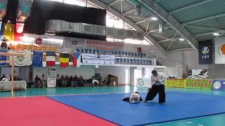 Taikai 2019 - Demonstratie Niculai Ungureanu (6 dan, Aikido), Romania - I