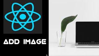 #36 How to Add Image in ReactJs