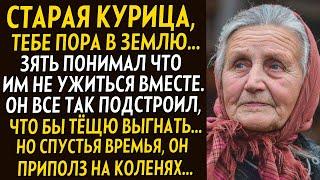 Старая курица, тебе пора в землю... Зять понимал что им не ужиться. Выгнал, а потом на коленях...