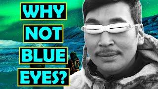 Why Do Inuits Not Have Blue Eyes? The Reason for Blue Eyes (Part 2)