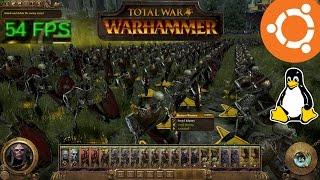 Total War Warhammer Gameplay and Performance on Ubuntu Linux (Native)