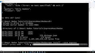 React & Redux With ExpressJS (2016) - 1.  Install Express