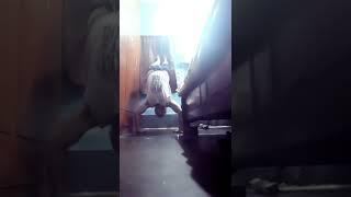 #shorts ! HANDSTAND PUSH UP !! SUBSCRIBE..LIKE..SHARE #youtube #homeworkout #vickyz0ne #viralshorts