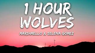 Selena Gomez, Marshmello - Wolves (Lyrics) 1 Hour