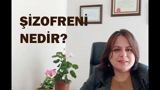 Şizofreni Nedir?