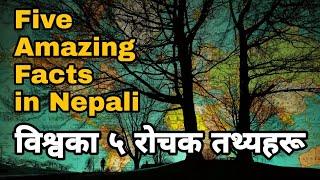 विश्वका ५ रोचक तथ्यहरू || Five Amazing Facts in Nepali || Ramro Fact || Nepali Fact