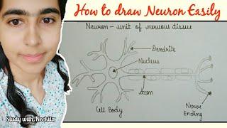 How to draw Neuron easily by study with Neekita.