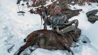 ГОРНАЯ ОХОТА НА ДАГЕСТАНСКОГО ТУРА. (Dagestan Tur and Caucasian chamois)