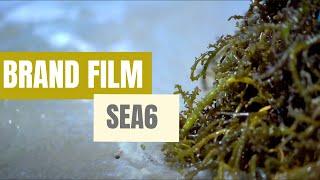 Sowing Seeds of Change: SEA6 ENERGY Corporate Profile