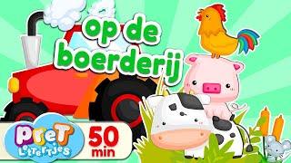 Boerderijdieren Dierengeluiden • Leukste Pretlettertjes Filmpjes op de boerderij