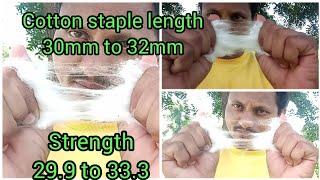 Cotton Length & Strength of MECH-1 l NIHAR EXIM I