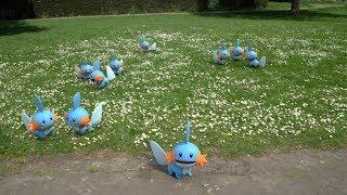 Pokémon GO Community Day: Mudkip Everywhere!