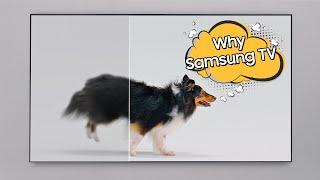 Why Samsung TV: Compare and See the Answer