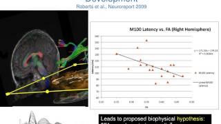 16p11.2: Brain Imaging Studies