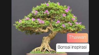 Taiwan bonsai inspirasi