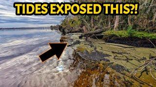 You Won't Believe What We Found Hidden in the Mud on These Riverbanks!