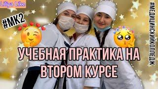 Учебная практика на втором курсе в медицинском колледже