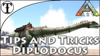 Fast Diplodocus Taming Guide :: Ark : Survival Evolved Tips and Tricks