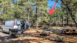 Grand Canyon 2024! Day 10. Animal Magnetism!  Saying Goodbye . van life 