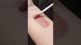 affordable nude lipstick #viralhacks #makeup #lipstickswatches #affordablemakeup