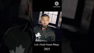 Lele | Haide Numai Plânge | 2025