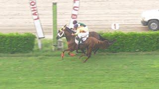 1st Race The Sawat Plate Distance 900 Meters Winner Gift of Gold & Silent Melody