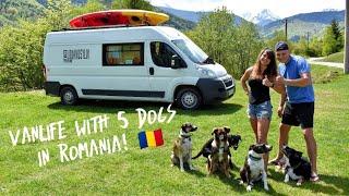 WE ABSOLUTELY LOVE ROMANIA! | Van Life Travel Vlog