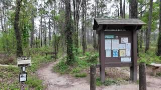 [4K] Sam Houston National Forest, hiking