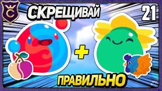 Как ПРАВИЛЬНО скрещивать Слаймов! 21 Slime Rancher 2 Прохождение