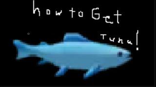 How to get tuna fish in Roblox Islands!!!