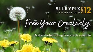 "SILKYPIX Developer Studio Pro12" promotion movie