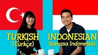 Similarities Between Turkish and Indonesian
