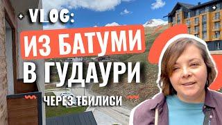 Vlog | Путешествую по Грузии  |  Поезд Батуми - Тбилиси  |  Протесты в городе  |  Дорога в Гудаури