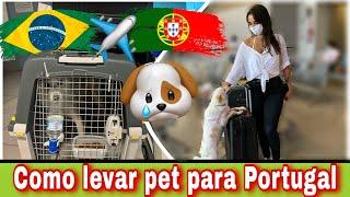 COMO LEVAR CACHORRO / GATO PARA PORTUGAL | PASSO A PASSO 2022️