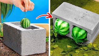 ‍ Gardening Hacks 101! Unusual Tips for Planting