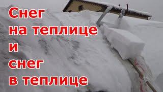 Снег на теплице и снег в теплице. Убирать ли снег с теплицы? Закидывать ли снег в теплицу?