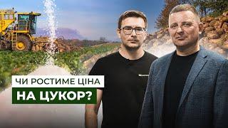 ОГОРОДОВ: Хайп — це заманливий, але дуже примарний орієнтир на ринку цукру | Latifundist