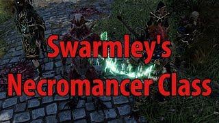 Swarmley's Necromancer Class - Divinity Original Sin 2 Definitive Edition